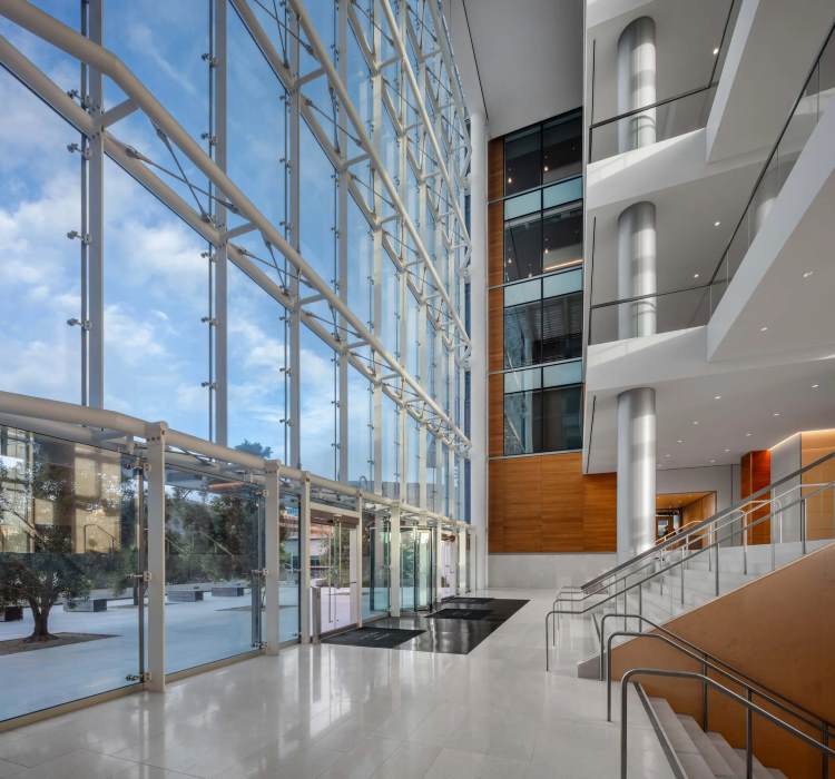Glass and Steel Atrium Walls with Steel Bow Trusses | Architecturally Exposed Steel