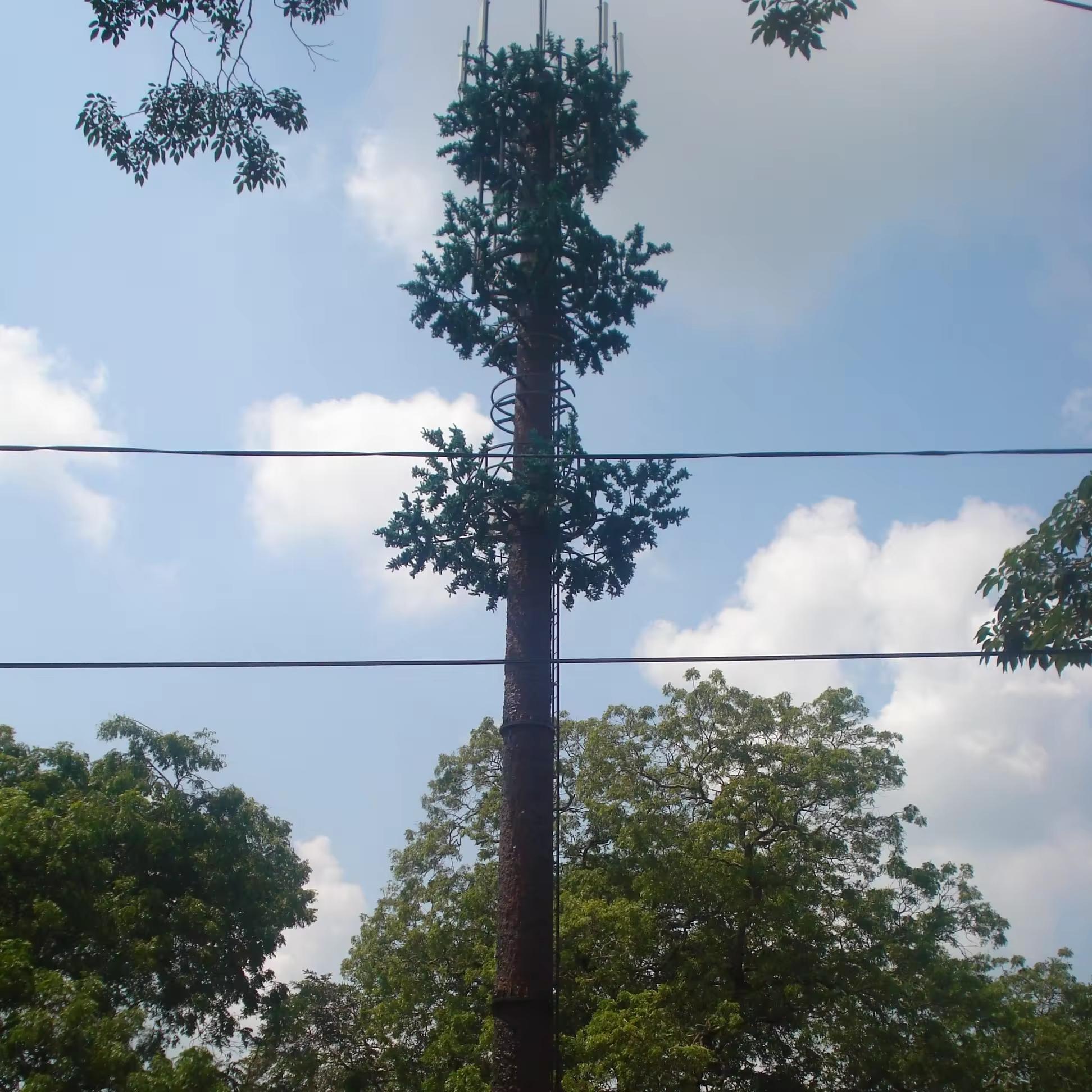 Camouflaged Telecom Pine Tree Monopole Tower​
